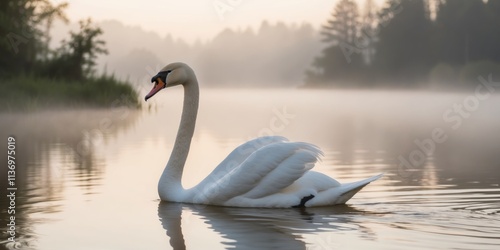 Fototapeta Naklejka Na Ścianę i Meble -  Elegant swan gliding across a serene lake