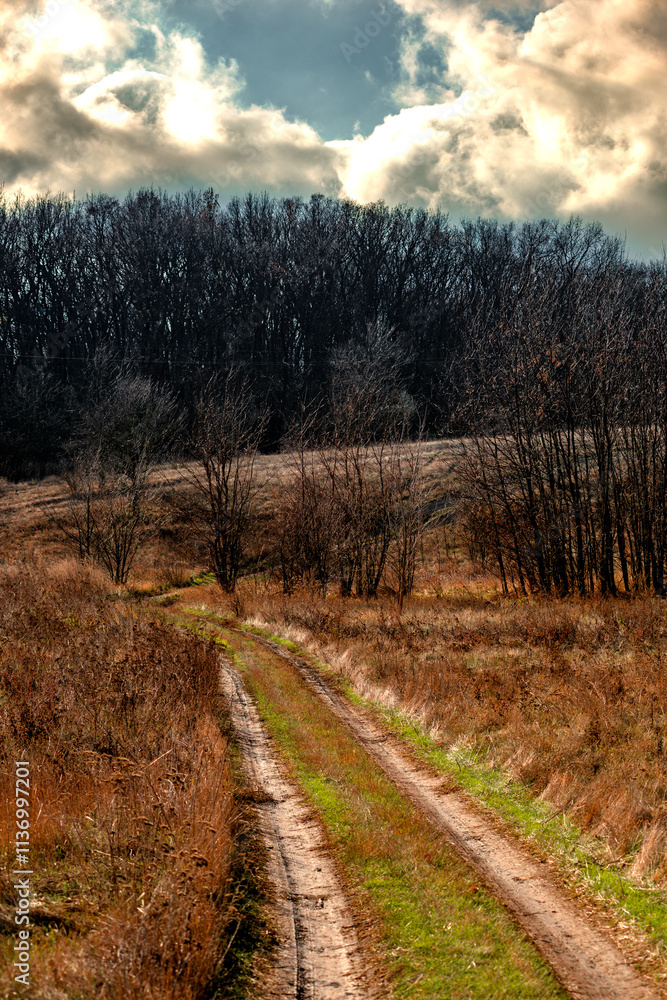 Fototapeta premium Road in the forest ,autumn landscape , beautiful colors and beauty sky with sun and clouds.Lot of orange colors , fall season .Sunlights through the sky and clouds