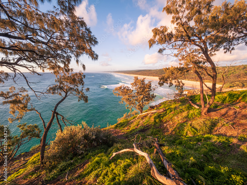 Fototapeta premium Morning Clifftop View Over Ocean