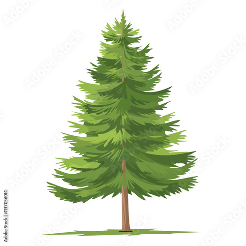 Flat vector cedar tree, isolated on a white background.

