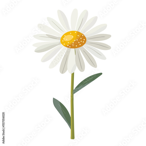 Flat vector chamomile flower, isolated on a white background.

