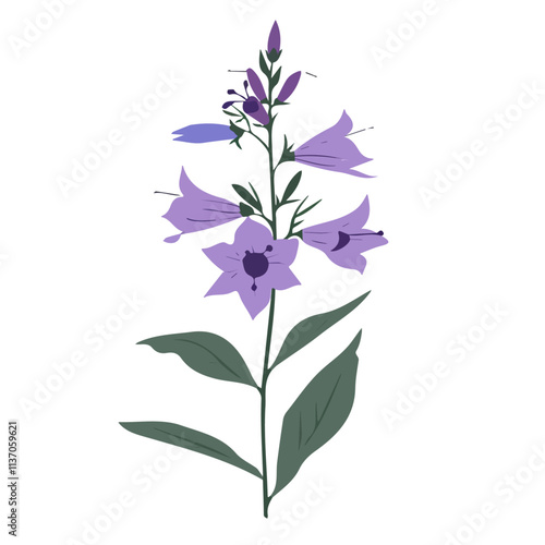 Flat vector lobelia flower, minimalist design, isolated on a white background.

 photo