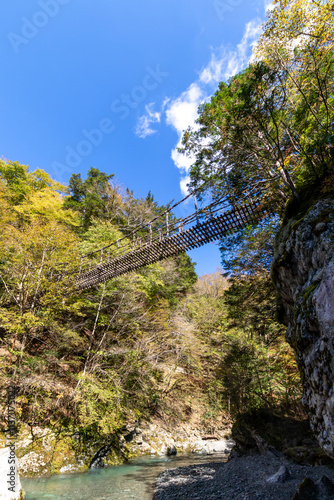 祖谷川に架かるかずら橋　秋　(徳島県　三好市　奥祖谷） photo