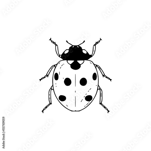 a line art drawing of a ladybird on white background