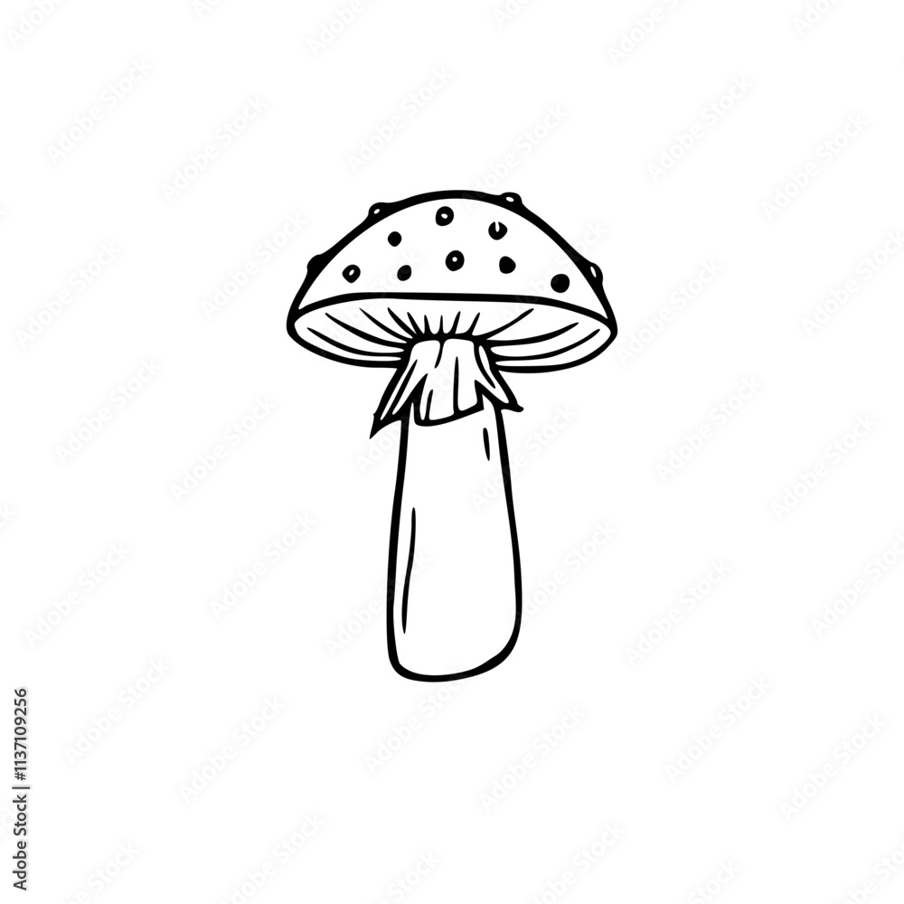 a black and white drawing of a mushroom a black and white drawing of a mushroom