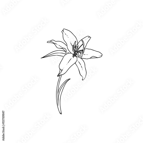 a black and white drawing of a flower, design element vector
