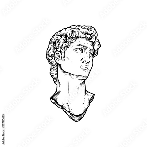 a line art drawing of a david head sculpture illustration