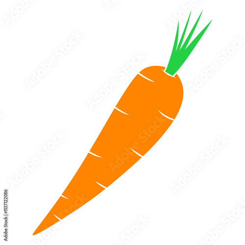 carrot illustration