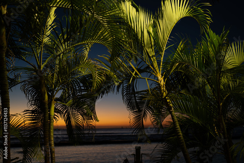 Hawaii Waikiki beach photo