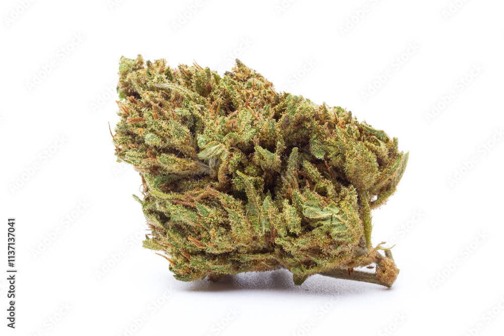 Cannabis flower isolated on white background Cannabis flower isolated on white background