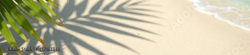 Palm Leaf Shadows on Sand. Serene Tropical Beach Scene. Ideal for travel promotions, wellness branding, or natural themed business marketing. photo