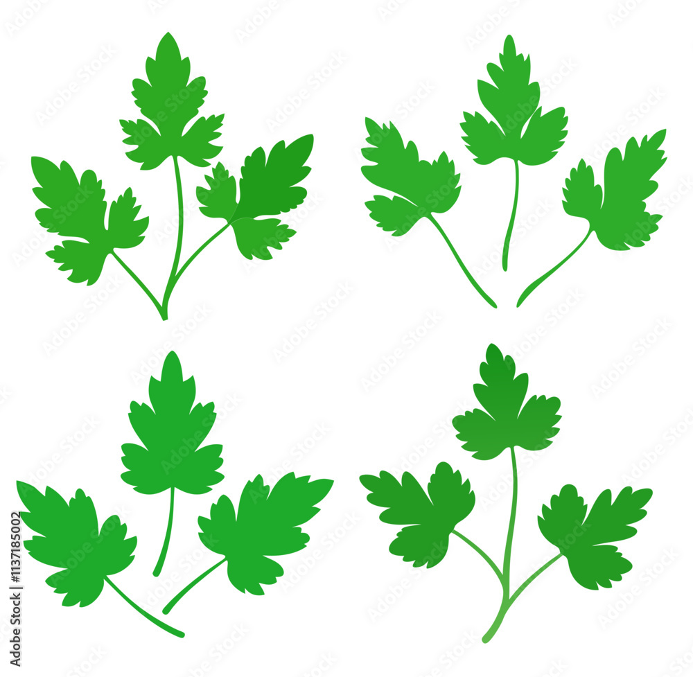 Corian drum Leaves Illustrations Vectors Corian drum Leaves Illustrations Vectors