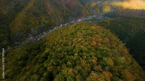 Aerial view over golden autumn colors of Valea Ierii forest, Cluj, Romania. Blending pine and deciduous trees, with a peaceful village and natural landscapes seen from above. photo