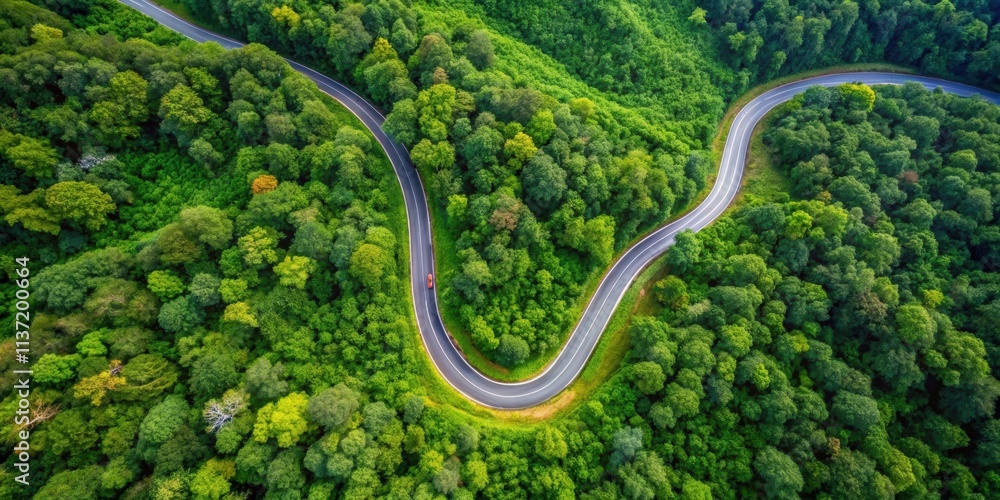 Aerial top view of a beautiful curved road cutting through lush green forest in the rainy season, road, green, aerial, top view Aerial top view of a beautiful curved road cutting through lush green forest in the rainy season, road, green, aerial, top view
