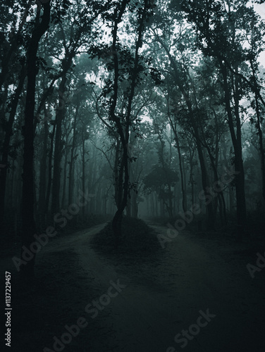 The Forked Path in the Foggy Forest