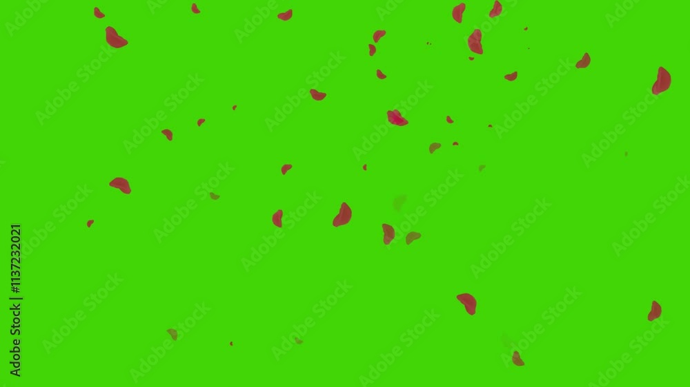 Falling rose petals on green screen background for romantic and festive designs Falling rose petals on green screen background for romantic and festive designs