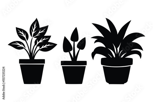 stylish planters silhouette art for gardening and home decor