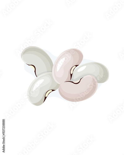 White kidney beans stock illustration