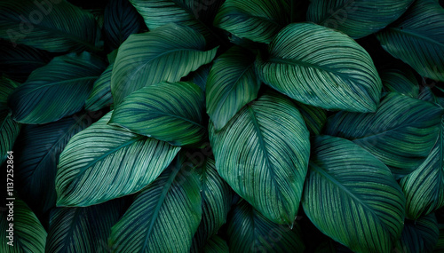 Wallpaper Mural Fondo de hojas verde Torontodigital.ca