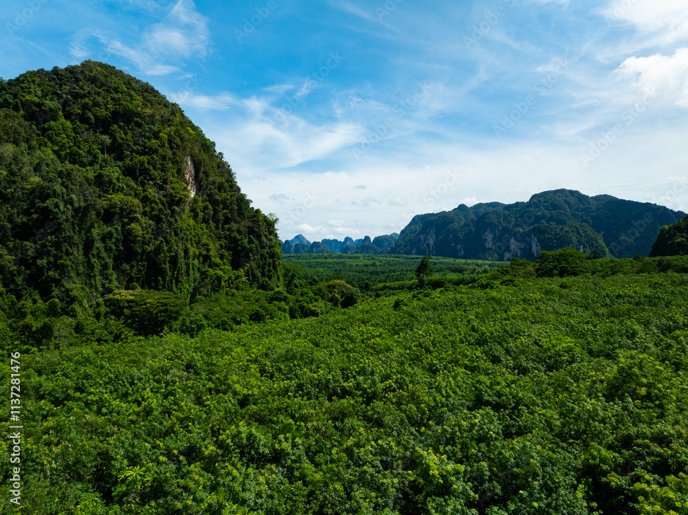 High angle view mountains rainforest view in sunrise sky High angle view mountains rainforest view in sunrise sky