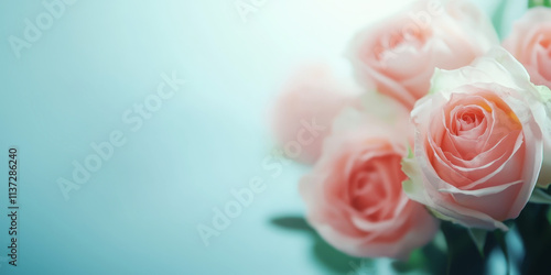 A soft focus image of delicate pink roses against a serene blue background, evoking feelings of romance and tranquility.