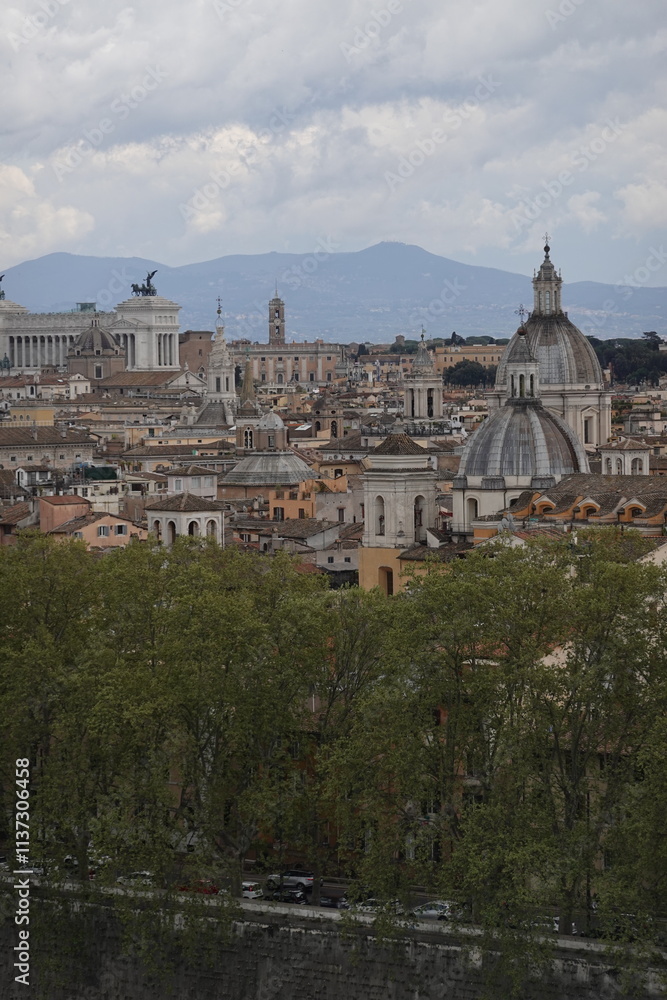 Fototapeta premium view of Roma