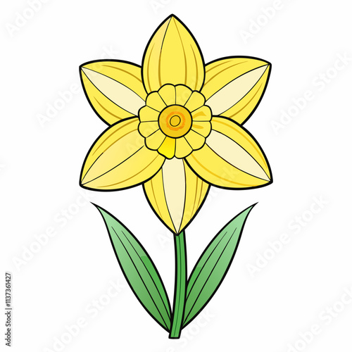 yellow daffodil flower