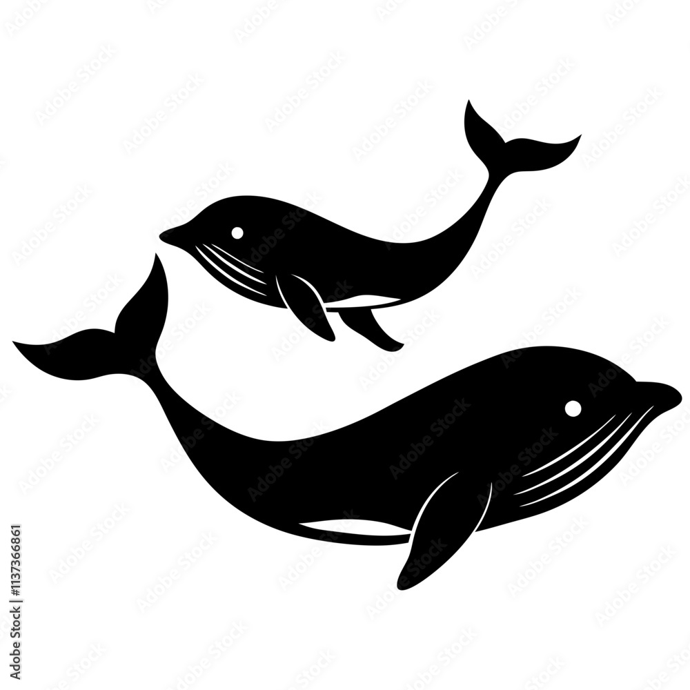 Fototapeta premium silhouette of a dolphin