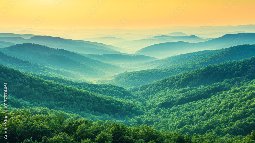 Fototapeta premium Scenic view of rolling green hills and valleys at sunrise in a tranquil landscape