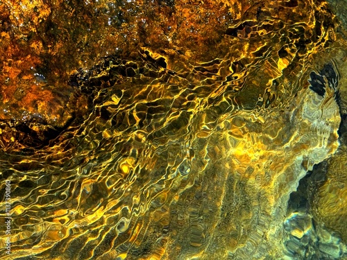 Golden sea stone natural background.