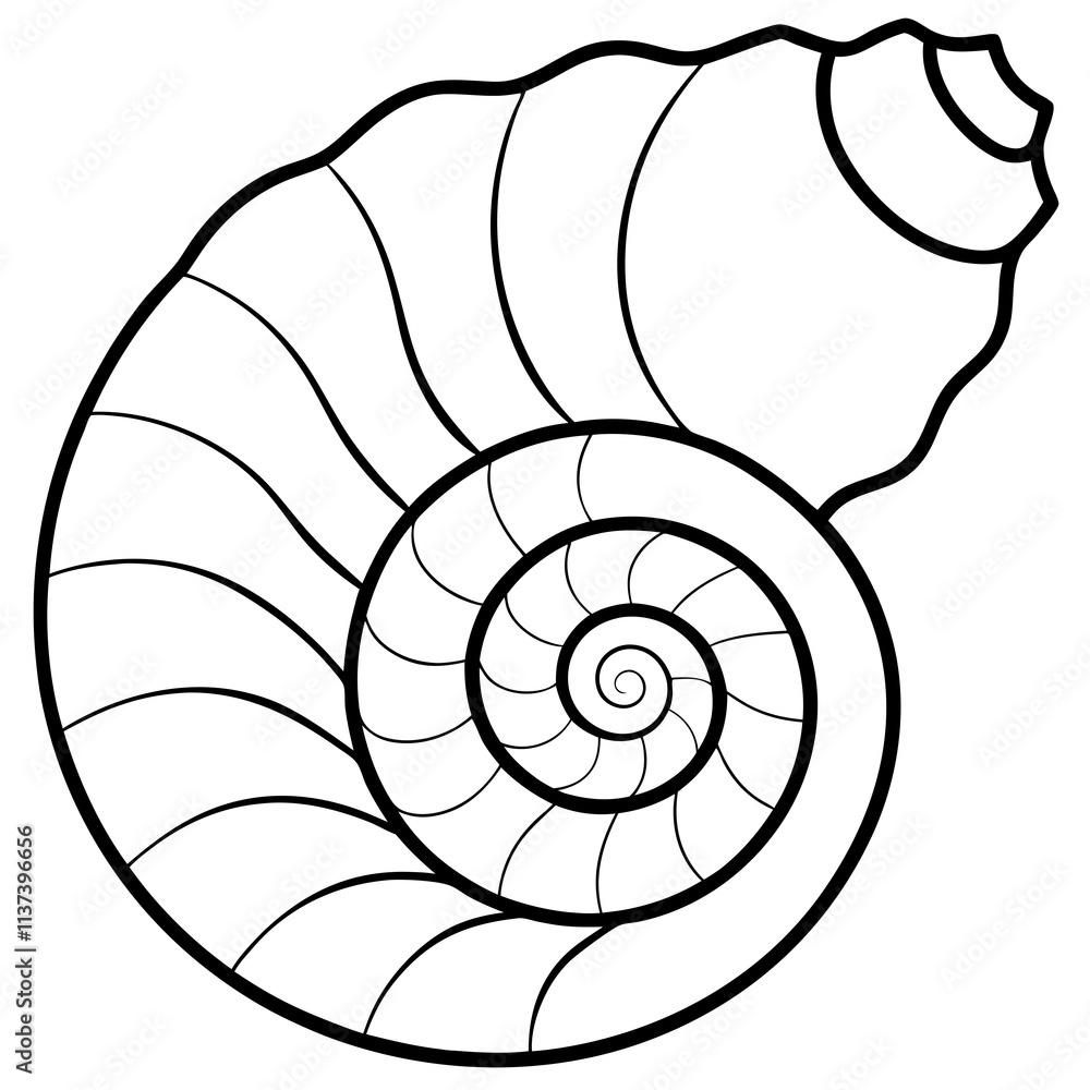 Obraz premium Nautilus shell line art vector illustration