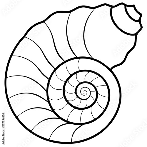 Nautilus shell line art vector illustration