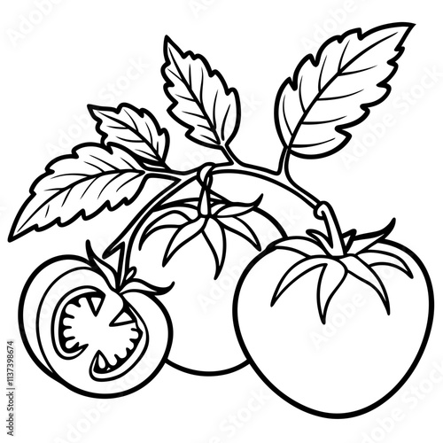 Tomatoes line art vector illuatration