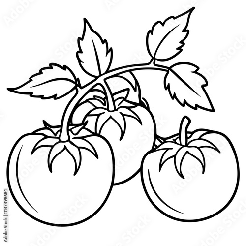 Tomatoes line art vector illuatration