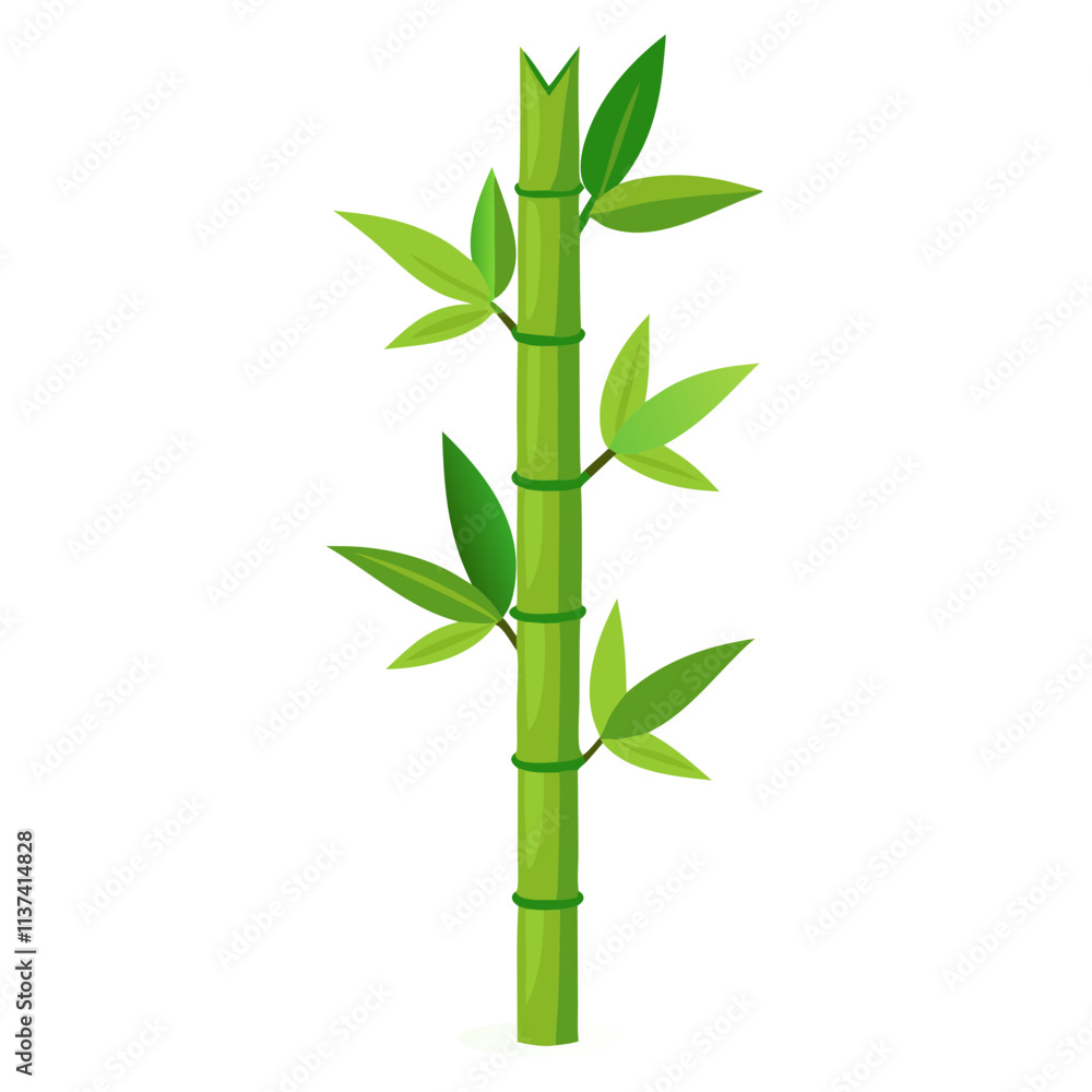 Obraz premium Single green bamboo stalk growing vertically with vibrant leaves in natural setting during daylight