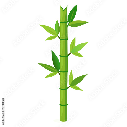 Single green bamboo stalk growing vertically with vibrant leaves in natural setting during daylight