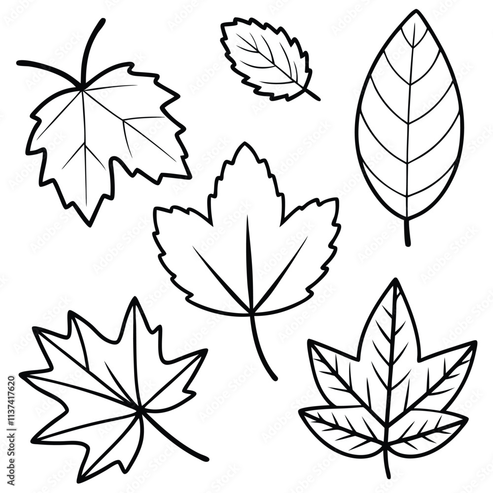 Fototapeta premium Autumn leaves design