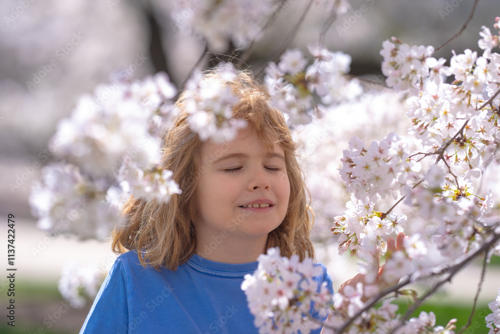 Kids face with flower on the Spring. Child in blooming cherry garden on beautiful spring day. Happy child during spring blossom. Kid in flowered garden. Outdoor Portrait of child near blossoming tree. Kids face with flower on the Spring. Child in blooming cherry garden on beautiful spring day. Happy child during spring blossom. Kid in flowered garden. Outdoor Portrait of child near blossoming tree.