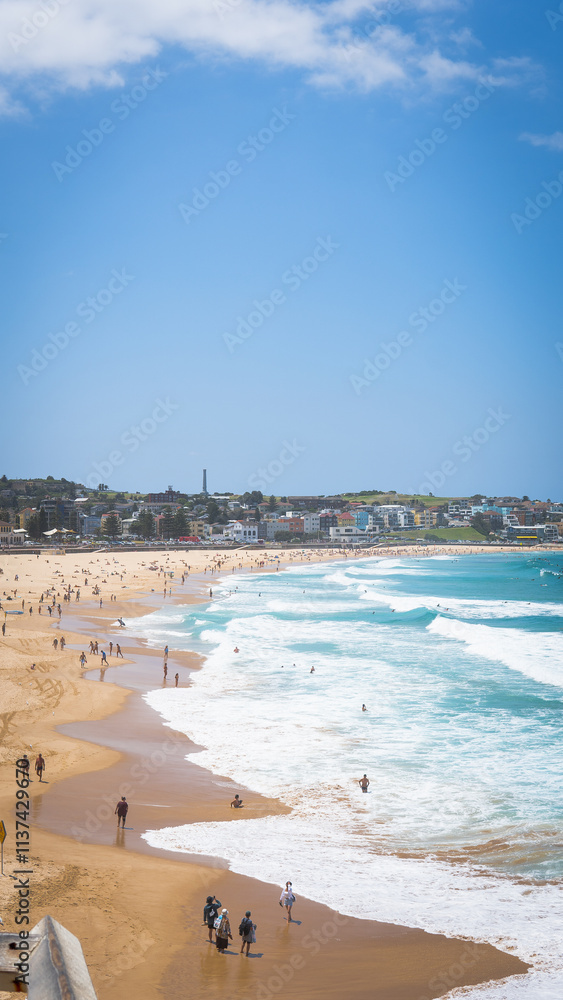 Obraz premium Bondi beach