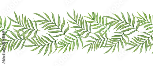 Watercolor green areca palm or Cycas leaves horizontal banner. Tropical leaf branches floral summertime illustration for wedding textile, travel package decor, cosmetic design