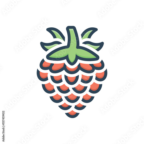 Color illustration icon for raspberry