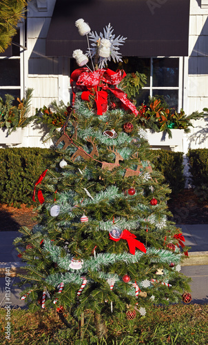 Christmas tree outside shops in Market Square at Stony Brook Village on Eastern Long Island. NY, United States