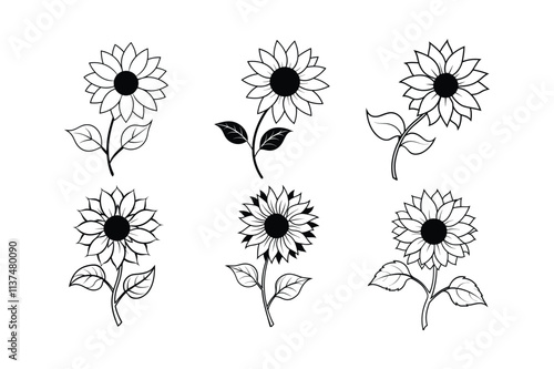 sunflower line art vector illustration