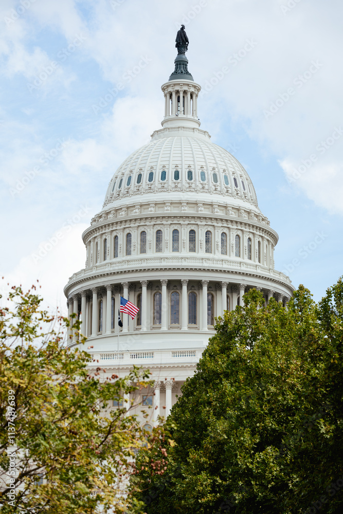 Fototapeta premium us capitol building