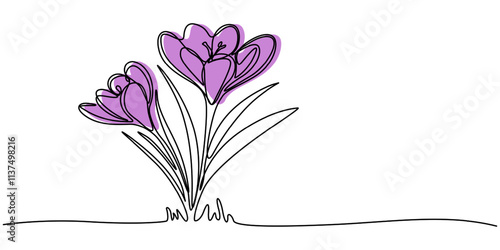 Spring crocus flower in continuous line art drawing style. Minimalist black linear sketch on white background. Vector illustration, Single continuous line drawing beauty fresh croci for home wall. 
