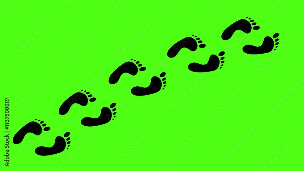 Human Foot Print Walk Animation On Green Screen. Footsteps Sign Footprint. 4K Resolution Human Foot Print Walk Animation On Green Screen. Footsteps Sign Footprint. 4K Resolution