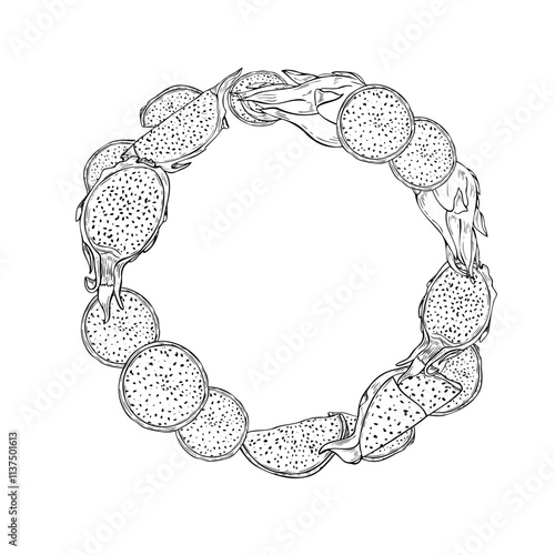 Delicious juicy pitahaya slices with pulp hand drawn vector wreath painted by black inks. Exotic dragon fruit line art round frame for tropical decor, summer dessert recipes and menu design