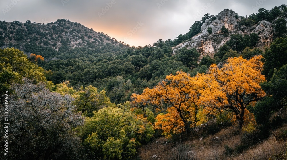 Autumn colors in mountainous woodland. Autumn colors in mountainous woodland.