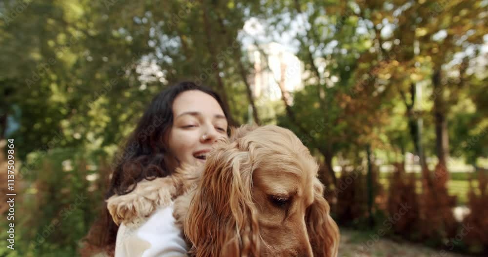 Happy woman hugs and have fun with cocker spaniel dog, Woman playing with her dog. hugs, kiss and pose nicely. Human animal friendship. English cocker spaniel rests outdoors. young pretty animal Happy woman hugs and have fun with cocker spaniel dog, Woman playing with her dog. hugs, kiss and pose nicely. Human animal friendship. English cocker spaniel rests outdoors. young pretty animal
