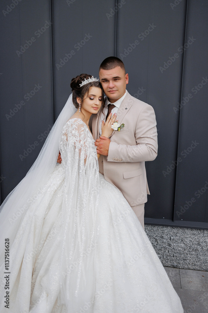 A bride and groom are posing for a picture in front of a building. The bride is wearing a long white gown with a veil and a tiara, while the groom is wearing a suit. Scene is happy and celebratory A bride and groom are posing for a picture in front of a building. The bride is wearing a long white gown with a veil and a tiara, while the groom is wearing a suit. Scene is happy and celebratory